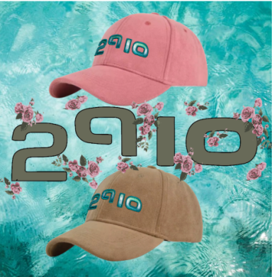 Casquette velours broderie 3D